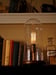 Image of Glass Dome Edison Lamp