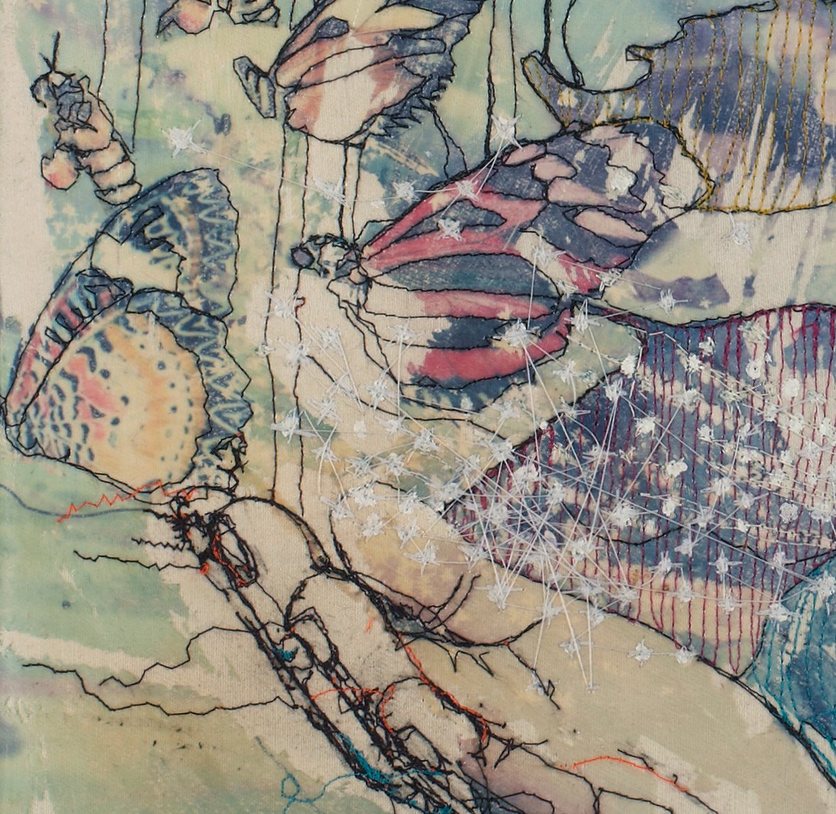 Image of Wonderworld