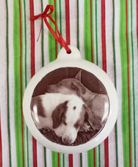 Image 1 of Pet Portrait Ornament