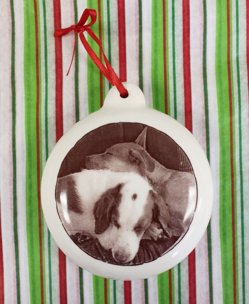 Image of Pet Portrait Ornament