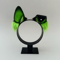 Image 3 of Black/Green Mismatch Husky Set