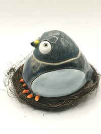 Image 3 of Pigeon 2