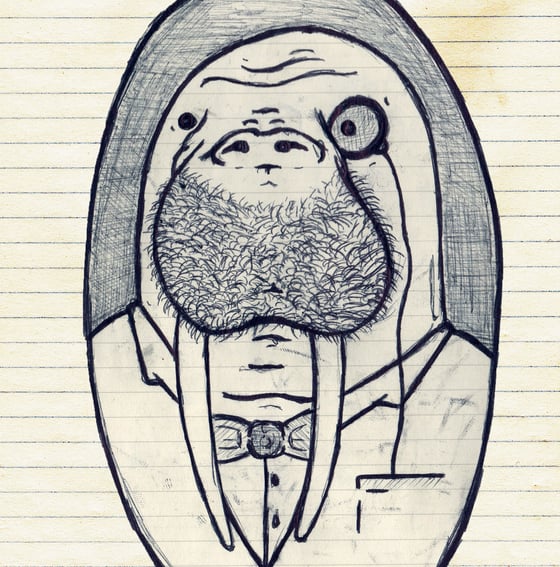 Image of Walrus - Limited Edition Print.