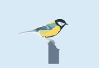 Great Tit Greeting Card