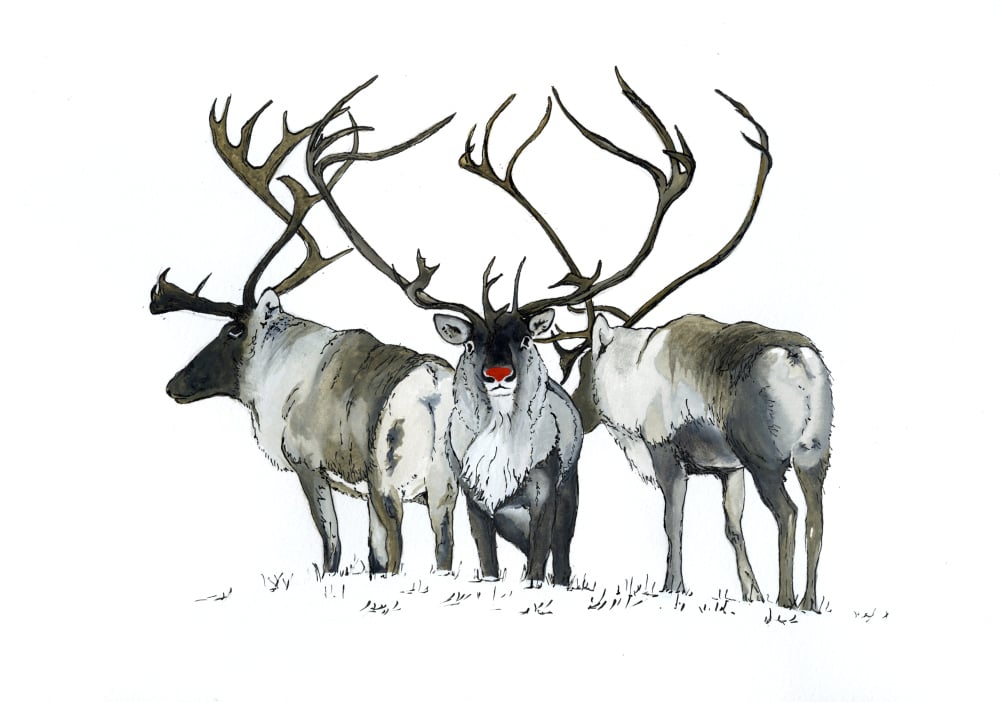 Image of Rudolph, Donner & Blitzen 