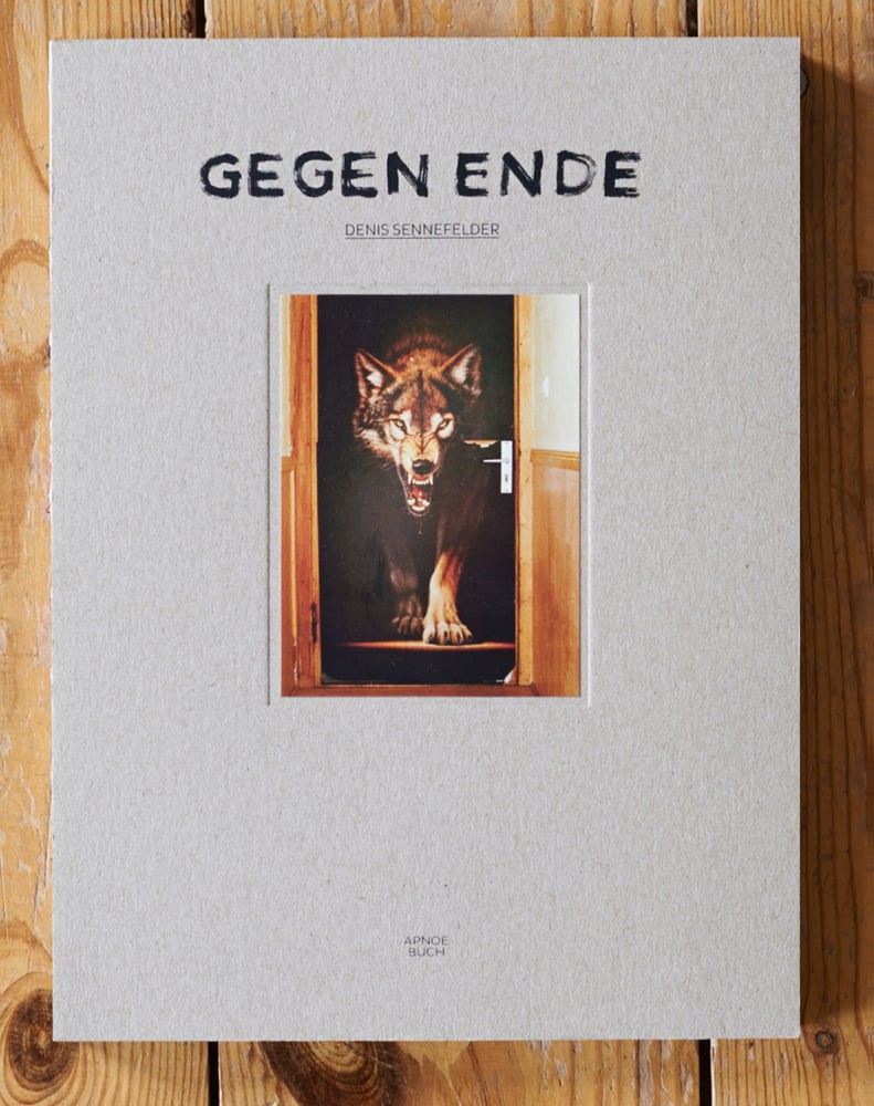 Image of Gegen Ende