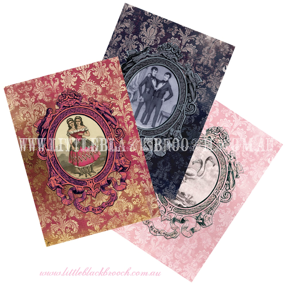 Image of LBB Macabre Greeting Card Collection - 3 Pack