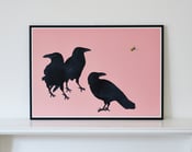 Image of Crows on Pink 