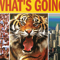 Image 2 of What's Going On Art Print