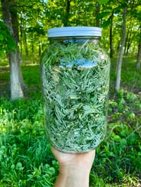Image 3 of Wormwood Tincture
