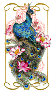 Image of Peacock