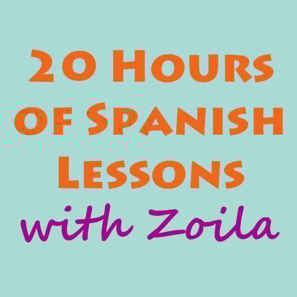 Image of 20 Hours of Spanish Lessons with Zoila