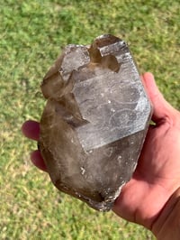 Image 2 of Smoky Quartz Enhydro Multi Terminated Crystal | Zambia #2966 