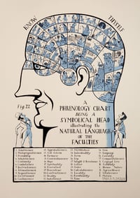 Image 1 of Phrenology Head