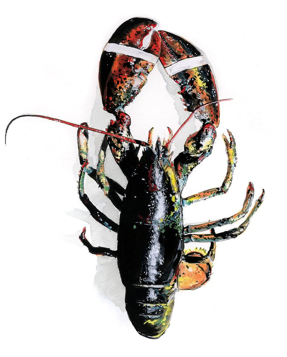Image of It's only a lobster