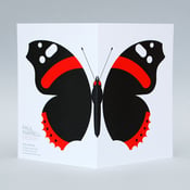 Image of Red Admiral card