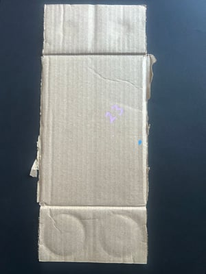 Image of ‘Live forever’ skull / cardboard (unframed)