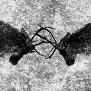 Home Chasse Galerie Home Chasse Galerie