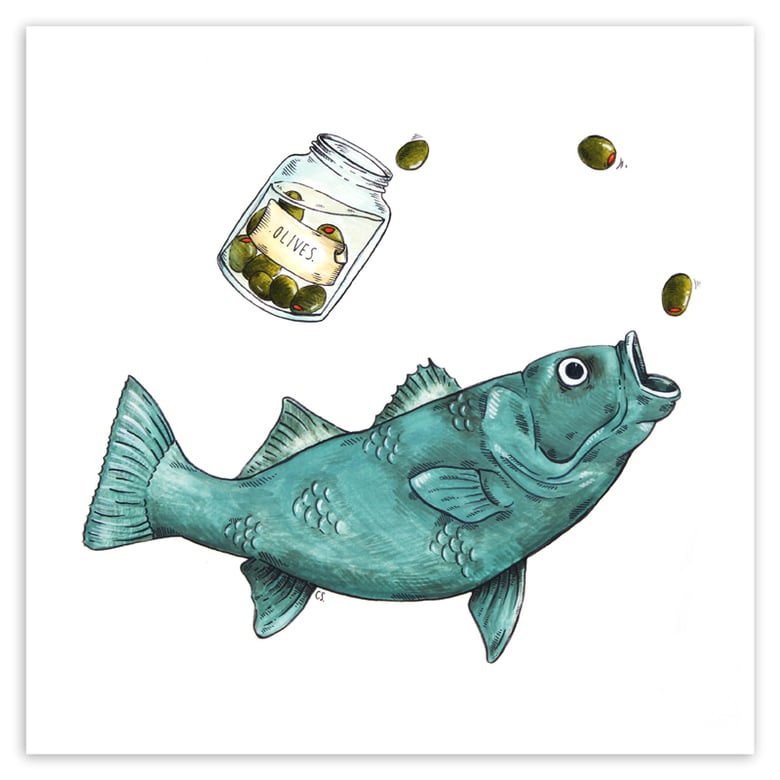 Image of Olive Fish