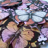 Image 2 of 100 Butterfly Embellishments