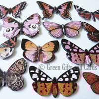 Image 1 of 100 Butterfly Embellishments