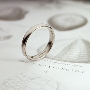 Image of 18ct white gold 4mm milled edge ring