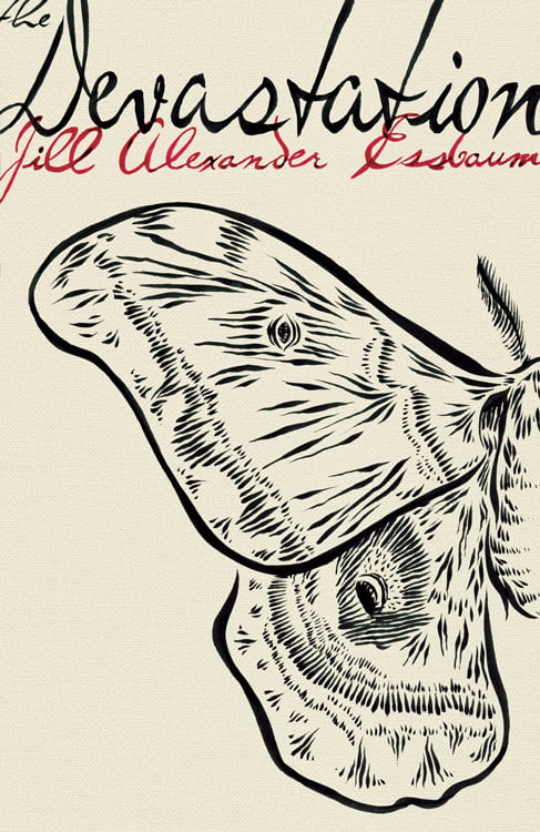 Image of The Devastation by Jill Alexander Essbaum