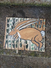 Image 1 of Rabbit