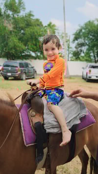 Image 1 of Petting Zoo & Pony Rides
