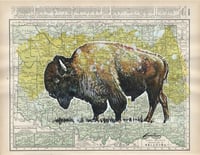 Oklahoma Bison map Print