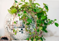 Image 3 of DISCO BALL PLANTER