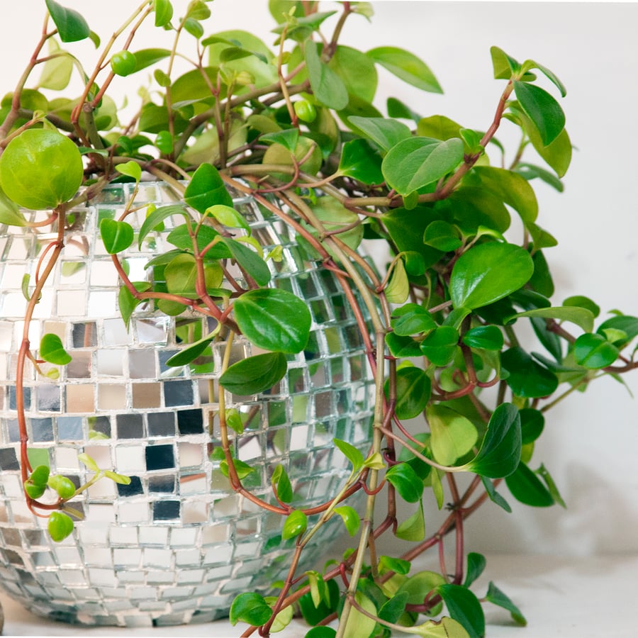 Image of DISCO BALL PLANTER