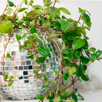 Image 1 of DISCO BALL PLANTER