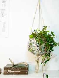 Image 2 of DISCO BALL PLANTER