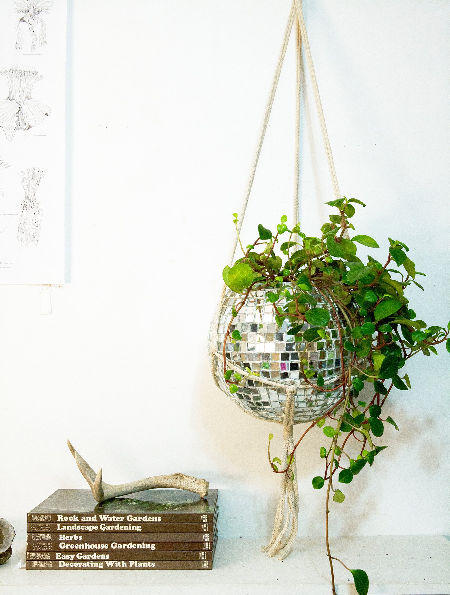 DISCO BALL PLANTER | chaparral studio