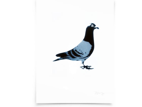 Image of Pigeon on paper - screenprintt
