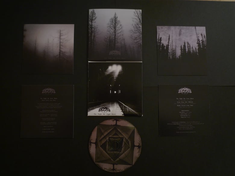 Image of ROTS - 'The Night the Trees Burnt' (handmade CD)