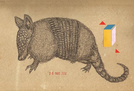 Image of Armadillo Poster