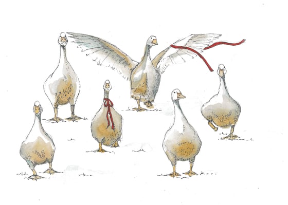 Image of Six Geese