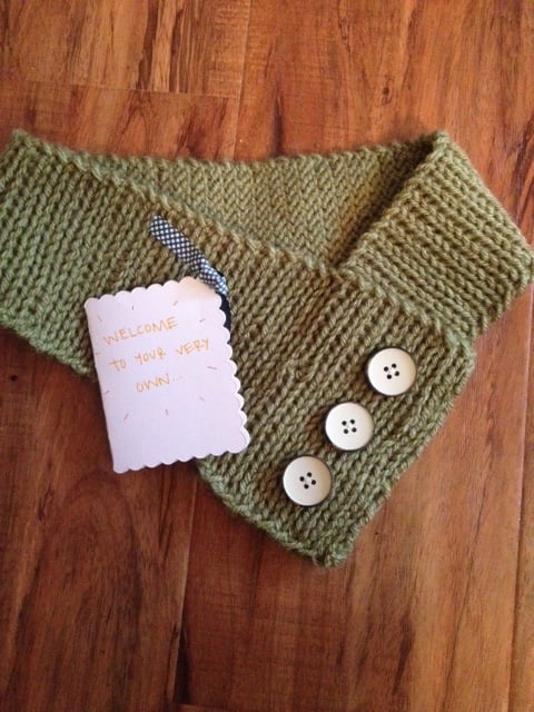Image of Green Baron Von Scarf