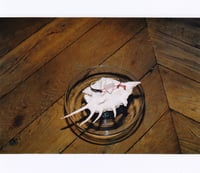 Image 4 of ▲ Bracelet Zola ▲