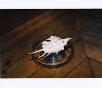 Image 5 of ▲ Bracelet Zola ▲