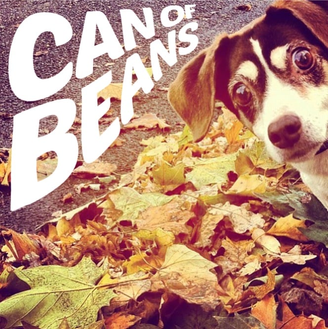 Image of CAN OF BEANS self titled LP
