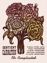 Sentient Carnation