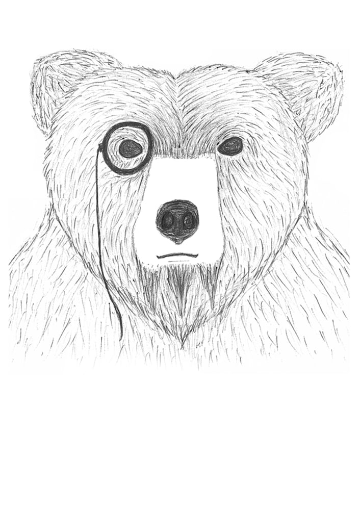 Image of Bear Serious