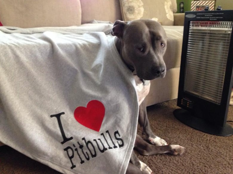 Image of I Love Pitbulls Blanket