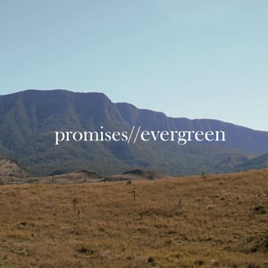 Image of 'Evergreen' Album.