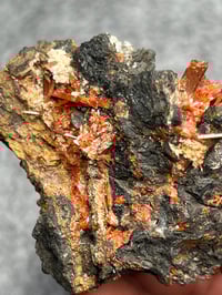 Image 2 of Crocoite Cluster Specimen From Tasmania #2424