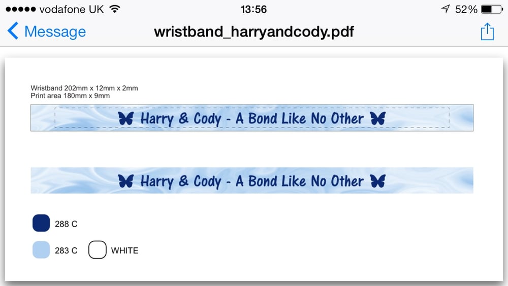 Image of Harry & Cody Wristbands 