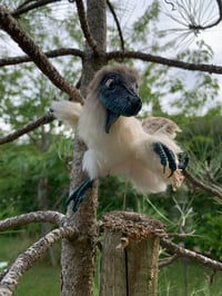 Image 4 of Taxidermy-Style Raptor Dinosaur Chick with Diorama 